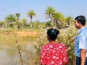 सुकमा जिले में नीली क्रांति की नई शुरुआत : मछली के साथ झींगा पालन बनेगा किसानों की समृद्धि का आधार