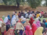 50 वर्षों बाद धमतरी के आदिवासी अंचल में रबी खेती की वापसी : 35 एकड़ में रागी उत्पादन से बदली खेती की तस्वीर