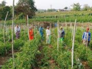 बिहान योजना से आत्मनिर्भर बनीं द्रौपती बांधे बनी लखपति दीदी