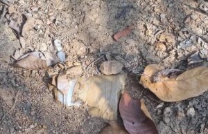दंतेवाड़ा में नक्सल साजिश नाकाम, 5 किलो का IED बरामद कर मौके पर किया गया नष्ट |