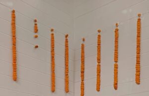 शिव परिवार स्थापना एवं प्राण प्रतिष्ठा समारोह