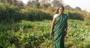 मुख्यमंत्री श्री विष्णु देव साय के सुशासन में महिलाओं को मिला आत्मनिर्भरता का संबल, बालोद की रोहनी बनीं उद्यमिता की मिसाल