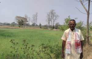 उन्नत तकनीकी विधि से गेहूं उत्पादन में वृद्धि