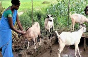 धमतरी का भटगांव बनेगा इनोवेशन हब