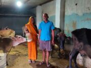 मनरेगा से मिला पशु शेड, डेयरी व्यवसाय से बढ़ी आय और बदली जिंदगी