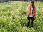 राष्ट्रीय बागवानी मिशन अंतर्गत धनिया की खेती से किसान रतिराम की बढ़ी आय
