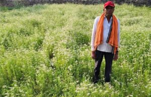 राष्ट्रीय बागवानी मिशन अंतर्गत धनिया की खेती से किसान रतिराम की बढ़ी आय