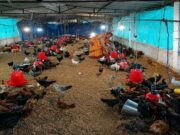 मजदूरी करने वाली रानी यादव बनी गांव की सफल महिला व्यवसायी