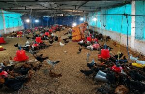 मजदूरी करने वाली रानी यादव बनी गांव की सफल महिला व्यवसायी