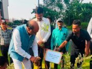 पर्यावरण दिवस पर मार्कफेड में वृक्षारोपण