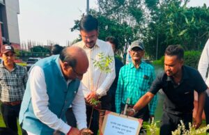 पर्यावरण दिवस पर मार्कफेड में वृक्षारोपण