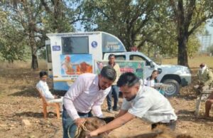 एक कॉल पर घर पहुंच रही पशु चिकित्सा सेवा, ग्रामीण पशुपालकों के लिए वरदान बनी मोबाइल यूनिट