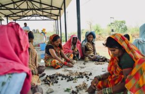 सीड बॉल अभियान के साथ हरियाली की नई शुरुआत