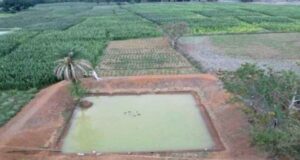 खोटलापल ग्राम पंचायत में डबरी निर्माण से बदली ग्रामीणों की तकदीर