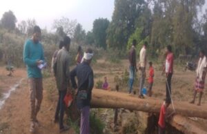 बरसों की राह हुई आसान- पुलिया बनने से धनगोल को मिली नई पहचान