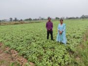 फसल विविधीकरण बना आर्थिक समृद्धि का आधार