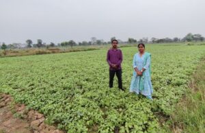 फसल विविधीकरण बना आर्थिक समृद्धि का आधार