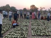 साय सरकार के सुशासन में तेन्दूपत्ता संग्राहकों को मिली आर्थिक मजबूती, 10,160 हितग्राहियों के खातों में पहुँची 1.39 करोड़ रुपये से अधिक की बोनस राशि