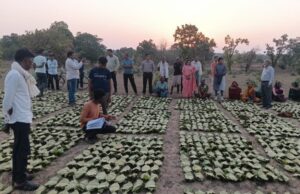 साय सरकार के सुशासन में तेन्दूपत्ता संग्राहकों को मिली आर्थिक मजबूती, 10,160 हितग्राहियों के खातों में पहुँची 1.39 करोड़ रुपये से अधिक की बोनस राशि