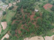 मोर गांव, मोर पानी अभियान से घोघर बना जल संरक्षण का प्रेरक मॉडल
