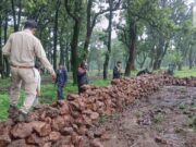 वन विभाग की बड़ी कार्रवाई: अवैध अतिक्रमण हटाकर वनभूमि कराई मुक्त, तत्काल शुरू किया गया पौधरोपण