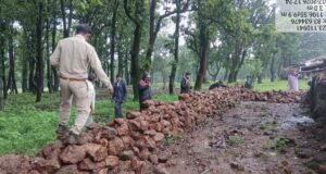 वन विभाग की बड़ी कार्रवाई: अवैध अतिक्रमण हटाकर वनभूमि कराई मुक्त, तत्काल शुरू किया गया पौधरोपण