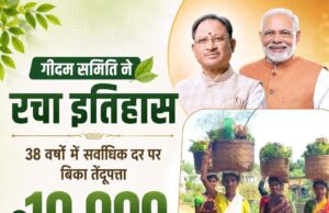 गीदम समिति ने रचा इतिहास, 38 वर्षों में सबसे अधिक कीमत पर बिका तेंदूपत्ता