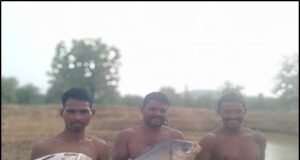तालाब में पाली मछलियां, मुनाफे से संवारी जिंदगी कृष्णशंकर कुडि़यम बने आत्मनिर्भरता की मिसाल
